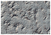 Spider Terrain
