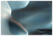 Dune Gully Monitoring
