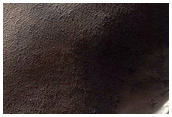Spider Terrain
