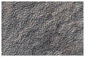 Dark Outcrops on South Polar Layered Deposits