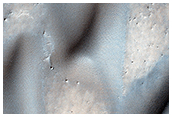 USGS Dune Database 2179-591 Monitoring