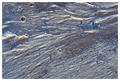 Fans in Northwestern Rim of Ladon Valles Basin