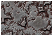 South Pole Residual Cap Monitoring