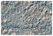 Circular Feature Proximal to Curvilinear Dark-Toned Textured Landform