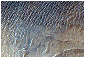 Gully Monitoring