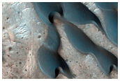Northwest Meridiani Planum Intracrater Dunes