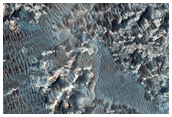 Textured and Light-Toned Rock Surfaces