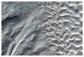 Gullies on Western Slope of Crater on Edge of Ptolemaeus Crater