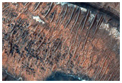 Colorful Layered Bedrock in Eroded Crater in Terra Sirenum
