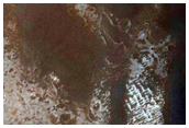 USGS Dune Database Entry Number 0081-097 Changes