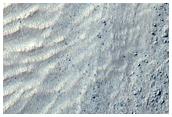 Lobate Debris Apron