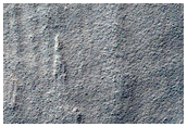 Large Viscous Flow Features in Argyre Region