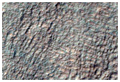 Gully Monitoring