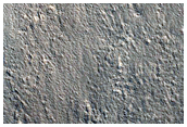 Possible Fresh Small Crater in Arcadia Planitia