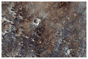 Crater Floor