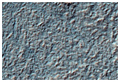 Overlapped Features Where Channel Meets Newton Crater Floor