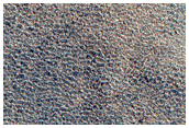 Northern Plains Terrain Sample