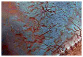Depositional Fan in Hargraves Crater