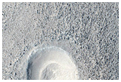 Utopia Region Knobs