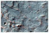 Inverted Channels on Fan in Saheki Crater