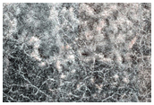Northern Plains Terrain Sample