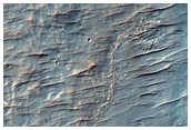Crater with Sinuous Ridges and Light-Toned Patches