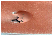 Track Dune Changes in Chasma Boreale