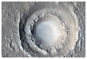Possible Terraced Crater in Arcadia Planitia
