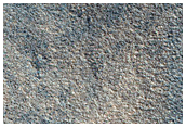 Northern Plains Terrain Sample