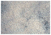 Northern Plains Terrain Sample