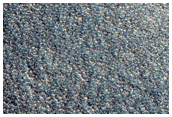 Northern Plains Terrain