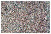 Northern Plains Terrain