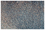 Northern Plains Terrain