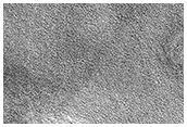Northern Plains Terrain