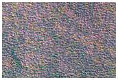 Northern Plains Terrain