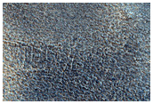 Northern Plains Terrain