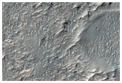 Light-Toned Surface with Parallel Ridges in Crater Interior