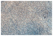 Northern Plains Terrain