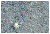Northern Plains Terrain