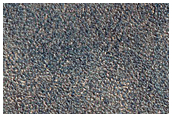 Northern Plains Terrain