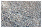 Northern Plains Terrain