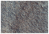 Northern Plains Terrain