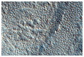 Northern Plains Terrain