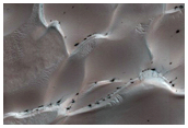 Dunes Dubbed Tleilax