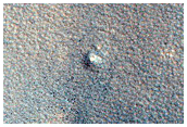 Northern Plains Terrain