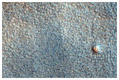 Northern Plains Terrain