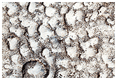 Pitted Surface in Tartarus Montes