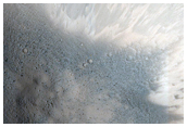 Gully Monitoring