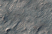 Thermally Distinct Terrain Boundary
