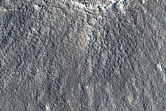 Possible Terraced Crater in Arcadia Planitia

